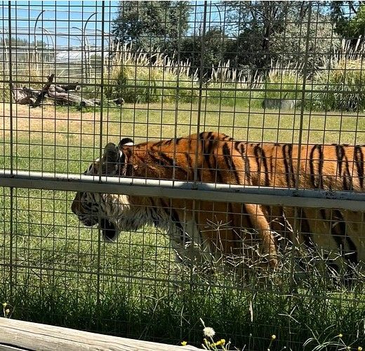 Zoologico Bubalco